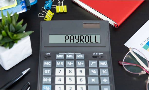 The Increasing Dependence of Small Companies on Online Payroll&nbsp;Services