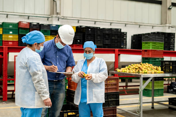 Top 10 Reasons to Obtain a Food Processing License in&nbsp;NYC